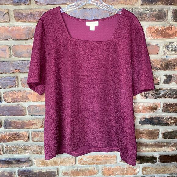 Appleseed's Maroon Red Scrunch Stretch Short Sleeve Square Neck Top Size XL - Picture 1 of 6